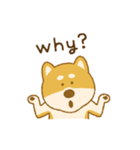 しばいぬさん（赤）（個別スタンプ：30）