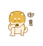 しばいぬさん（赤）（個別スタンプ：31）
