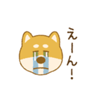 しばいぬさん（赤）（個別スタンプ：33）