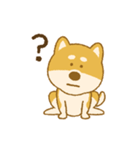 しばいぬさん（赤）（個別スタンプ：36）