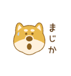 しばいぬさん（赤）（個別スタンプ：39）
