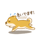 しばいぬさん（赤）（個別スタンプ：40）