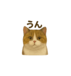 にゃんこのお返事セット（個別スタンプ：6）