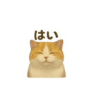 にゃんこのお返事セット（個別スタンプ：7）