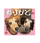 いなめいスタンプ（個別スタンプ：1）