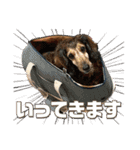 いなめいスタンプ（個別スタンプ：5）