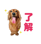 いなめいスタンプ（個別スタンプ：7）