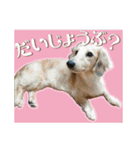 いなめいスタンプ（個別スタンプ：9）