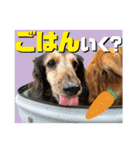 いなめいスタンプ（個別スタンプ：10）