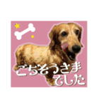 いなめいスタンプ（個別スタンプ：11）