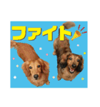いなめいスタンプ（個別スタンプ：14）