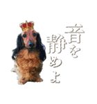 いなめいスタンプ（個別スタンプ：24）