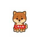元気いっぱい豆柴スタンプ（個別スタンプ：1）