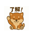 元気いっぱい豆柴スタンプ（個別スタンプ：8）