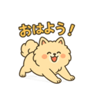ふわもこポメのやさしい気持ちスタンプ（個別スタンプ：1）