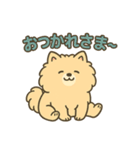 ふわもこポメのやさしい気持ちスタンプ（個別スタンプ：2）