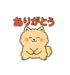 ふわもこポメのやさしい気持ちスタンプ（個別スタンプ：3）