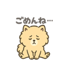 ふわもこポメのやさしい気持ちスタンプ（個別スタンプ：4）
