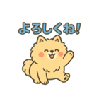 ふわもこポメのやさしい気持ちスタンプ（個別スタンプ：8）