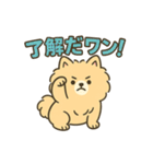 ふわもこポメのやさしい気持ちスタンプ（個別スタンプ：9）