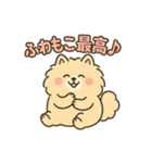 ふわもこポメのやさしい気持ちスタンプ（個別スタンプ：16）