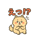 ふわもこポメのやさしい気持ちスタンプ（個別スタンプ：19）