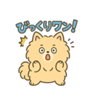 ふわもこポメのやさしい気持ちスタンプ（個別スタンプ：20）
