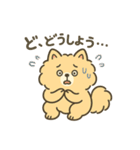 ふわもこポメのやさしい気持ちスタンプ（個別スタンプ：21）