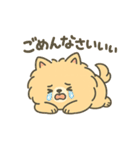 ふわもこポメのやさしい気持ちスタンプ（個別スタンプ：22）