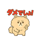 ふわもこポメのやさしい気持ちスタンプ（個別スタンプ：24）