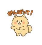 ふわもこポメのやさしい気持ちスタンプ（個別スタンプ：28）