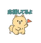 ふわもこポメのやさしい気持ちスタンプ（個別スタンプ：29）