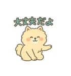 ふわもこポメのやさしい気持ちスタンプ（個別スタンプ：30）