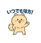ふわもこポメのやさしい気持ちスタンプ（個別スタンプ：31）