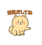 ふわもこポメのやさしい気持ちスタンプ（個別スタンプ：32）