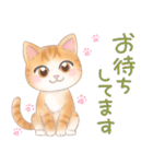 ねこのきもち❤️茶トラ（個別スタンプ：5）