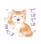 ねこのきもち❤️茶トラ（個別スタンプ：7）