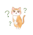 ねこのきもち❤️茶トラ（個別スタンプ：12）
