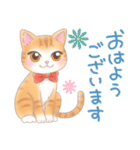 ねこのきもち❤️茶トラ（個別スタンプ：13）