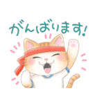 ねこのきもち❤️茶トラ（個別スタンプ：16）