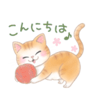 ねこのきもち❤️茶トラ（個別スタンプ：19）
