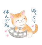 ねこのきもち❤️茶トラ（個別スタンプ：24）