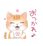 ねこのきもち❤️茶トラ（個別スタンプ：25）