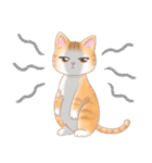 ねこのきもち❤️茶トラ（個別スタンプ：28）