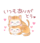 ねこのきもち❤️茶トラ（個別スタンプ：29）