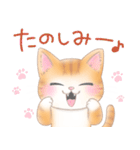 ねこのきもち❤️茶トラ（個別スタンプ：31）