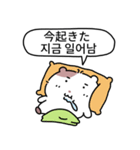 小豆ネズミ (日本語/韓国語)（個別スタンプ：1）