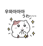 小豆ネズミ (日本語/韓国語)（個別スタンプ：3）