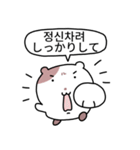小豆ネズミ (日本語/韓国語)（個別スタンプ：19）