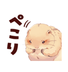 プレーリードッグといっしょ（個別スタンプ：11）